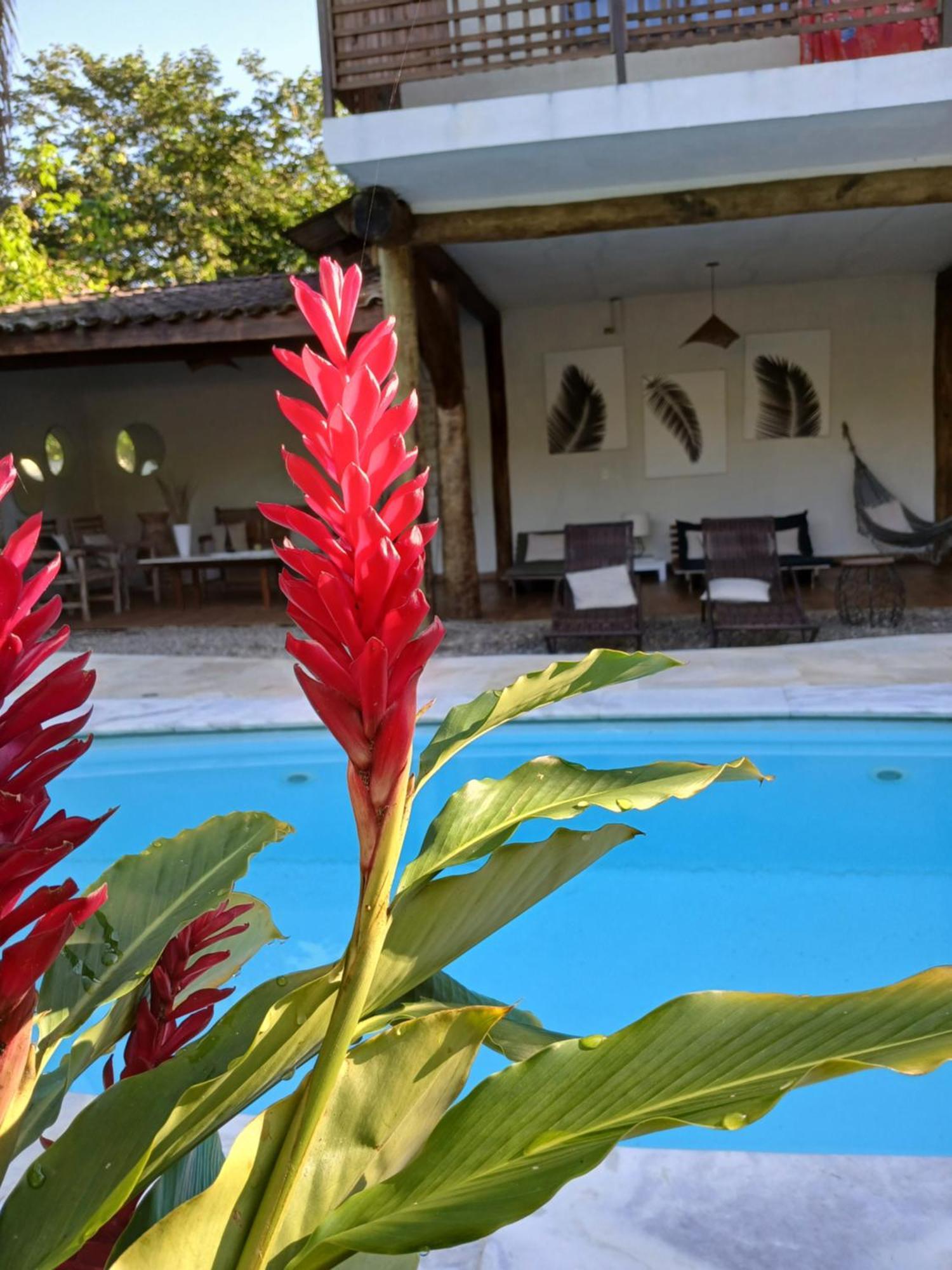 Itamambuca Casa De Praia Ubatuba Zewnętrze zdjęcie